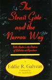 Strait Gate and the Narrow Way, The - Volume II