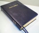 RVG Santa Biblia (Spanish Bible)
