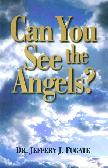 Can You See The Angels?