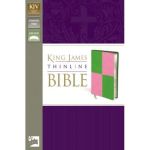 KJV, Thinline Bible, Imitation Leather, Meadow Green/Pink, Red Letter Edition